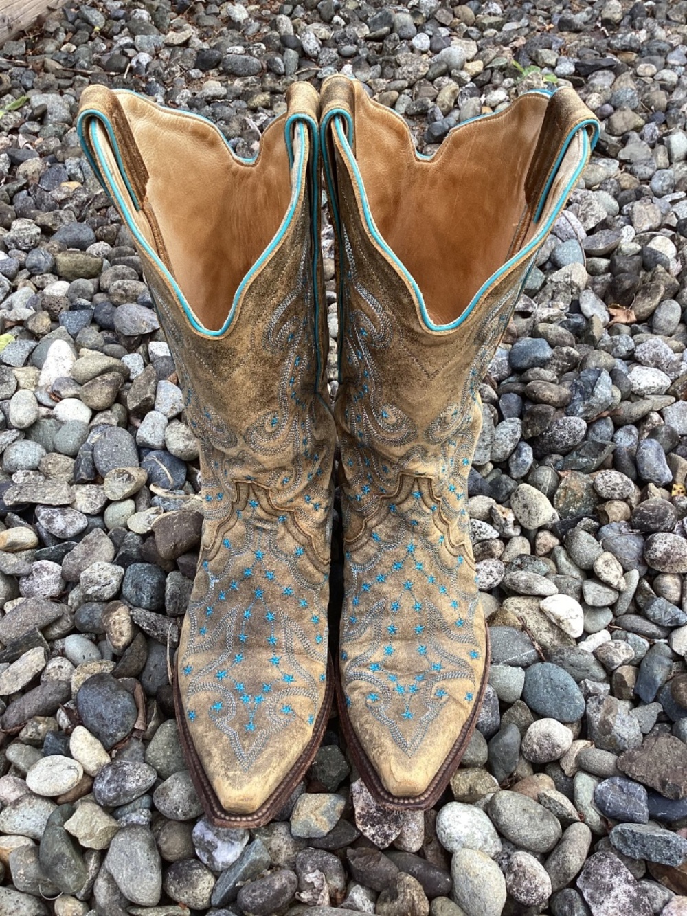 Old Gringo Outstanding Unique Small Blue Star Detailed Distressed Cowgirl Boots - Picture 10 of 16